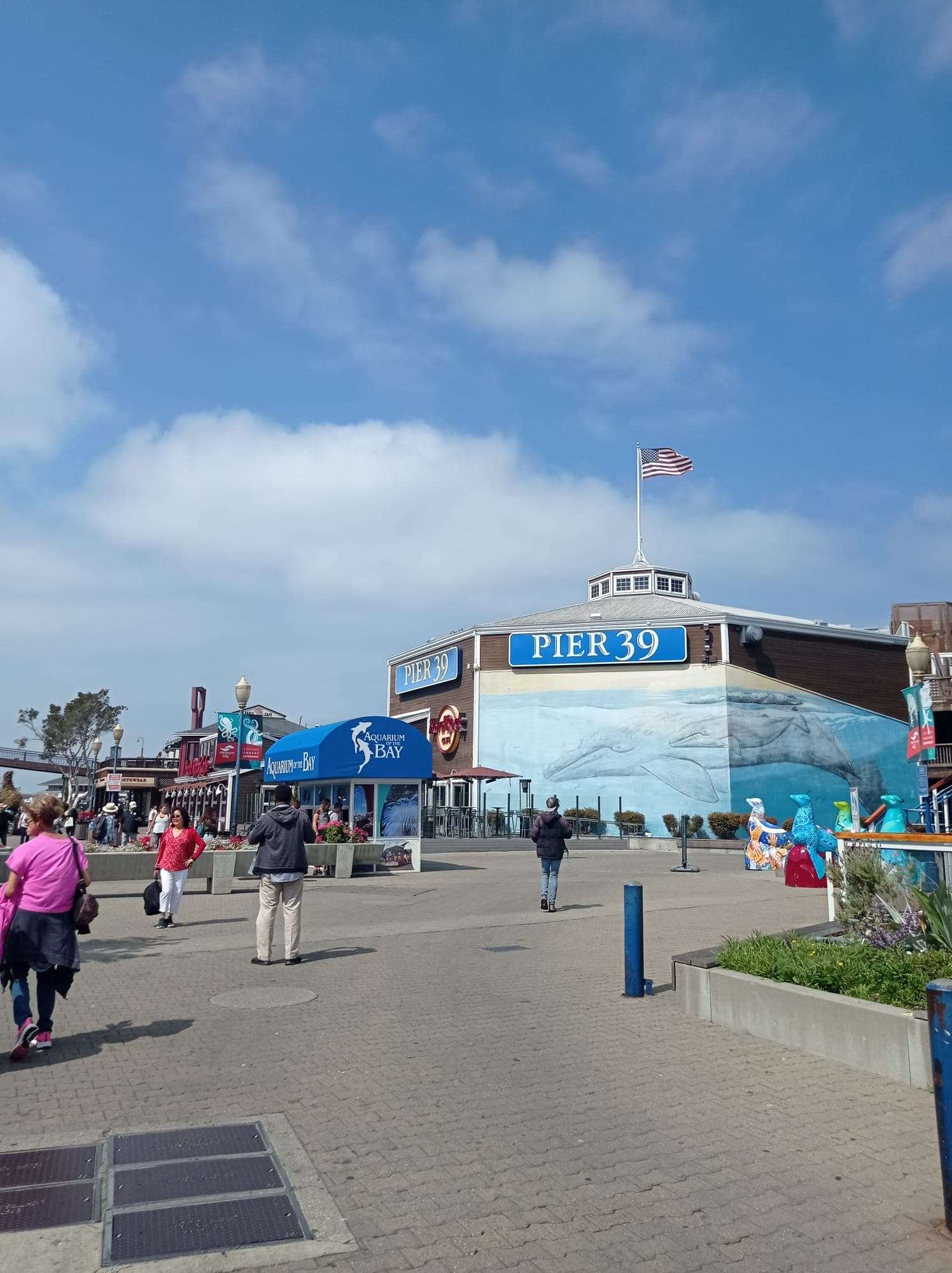 13 lugares imprescindibles que ver en San Francisco Blog de viajes Estados Unidos pier 39
