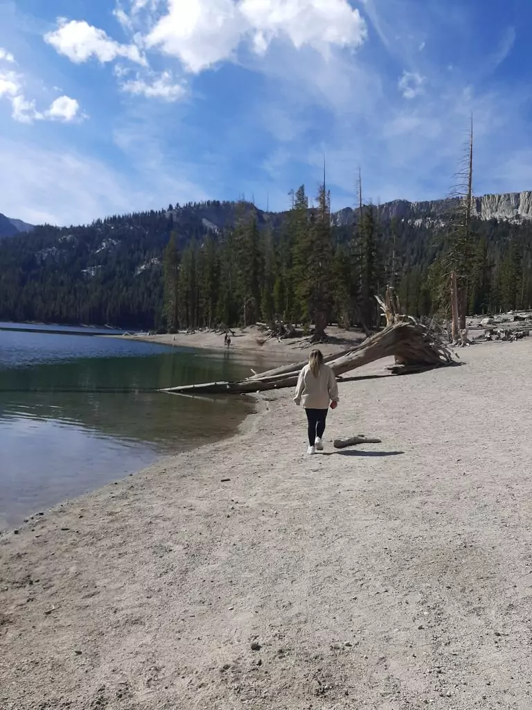 RUTA COESTA OESTA ESTADOS UNIDOS MAMMOTH LAKES Horseshoe Lake lago