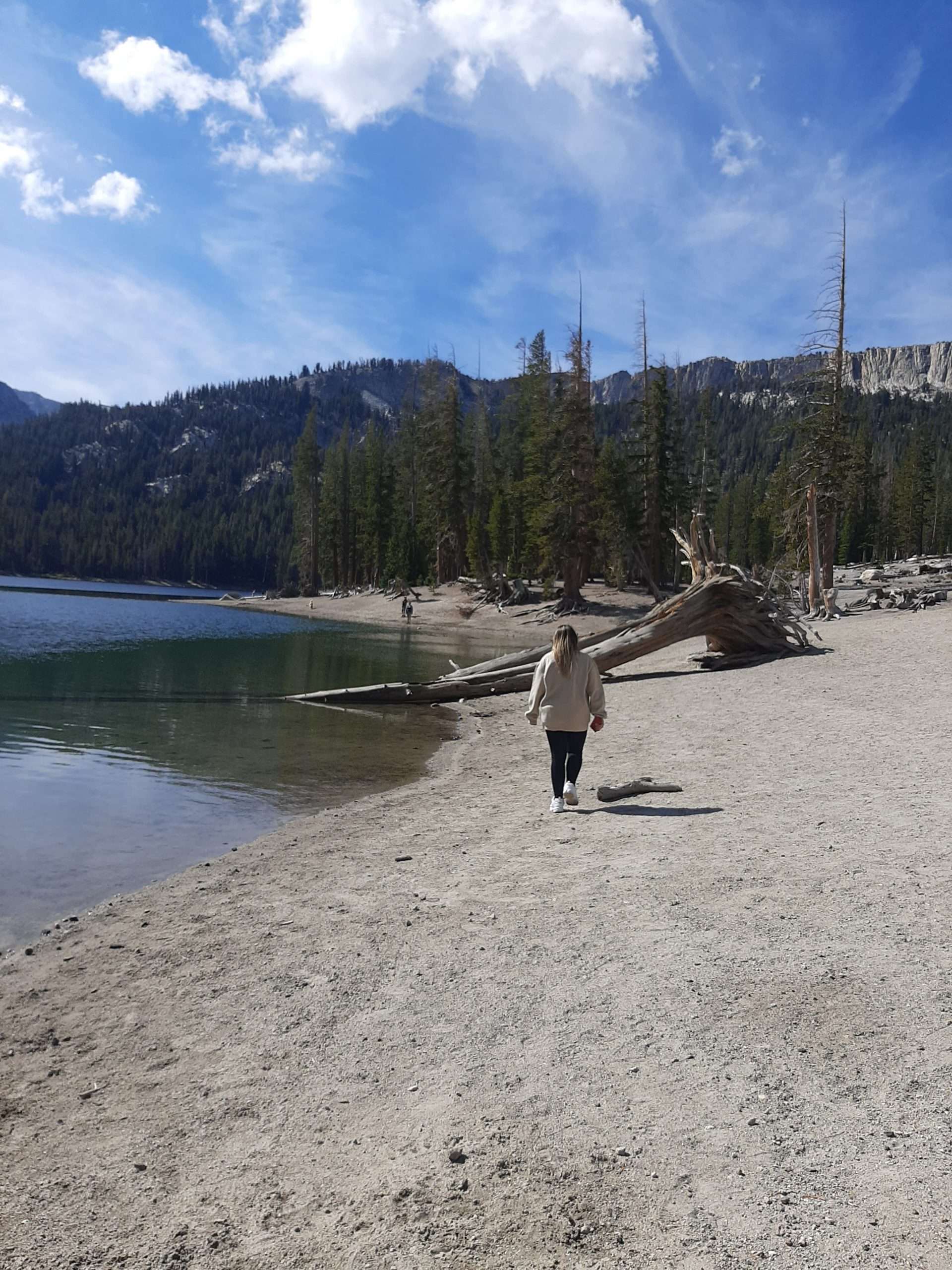 RUTA COESTA OESTA ESTADOS UNIDOS MAMMOTH LAKES Horseshoe Lake lago