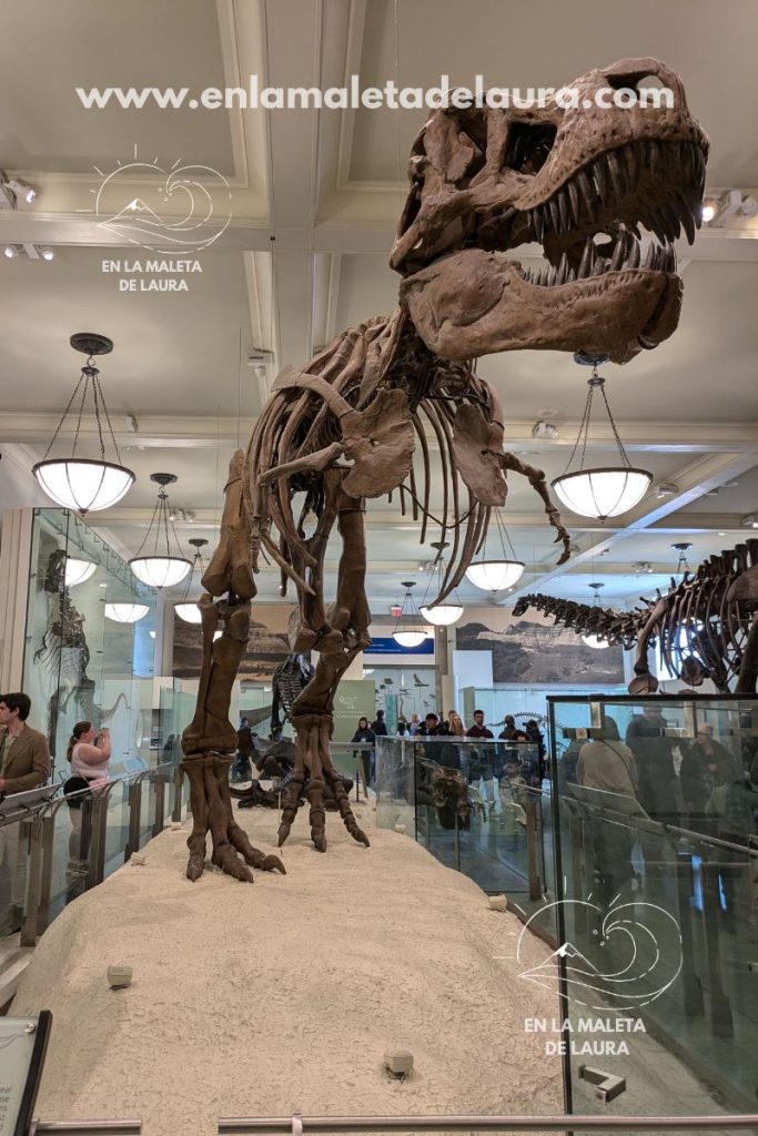 Qué ver en Nueva York en 10 días itinerario completo día a día Museo de Historia Natural de Nueva York