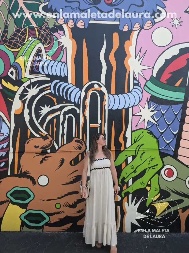 Que ver y hacer en Miami Wynwood Walls