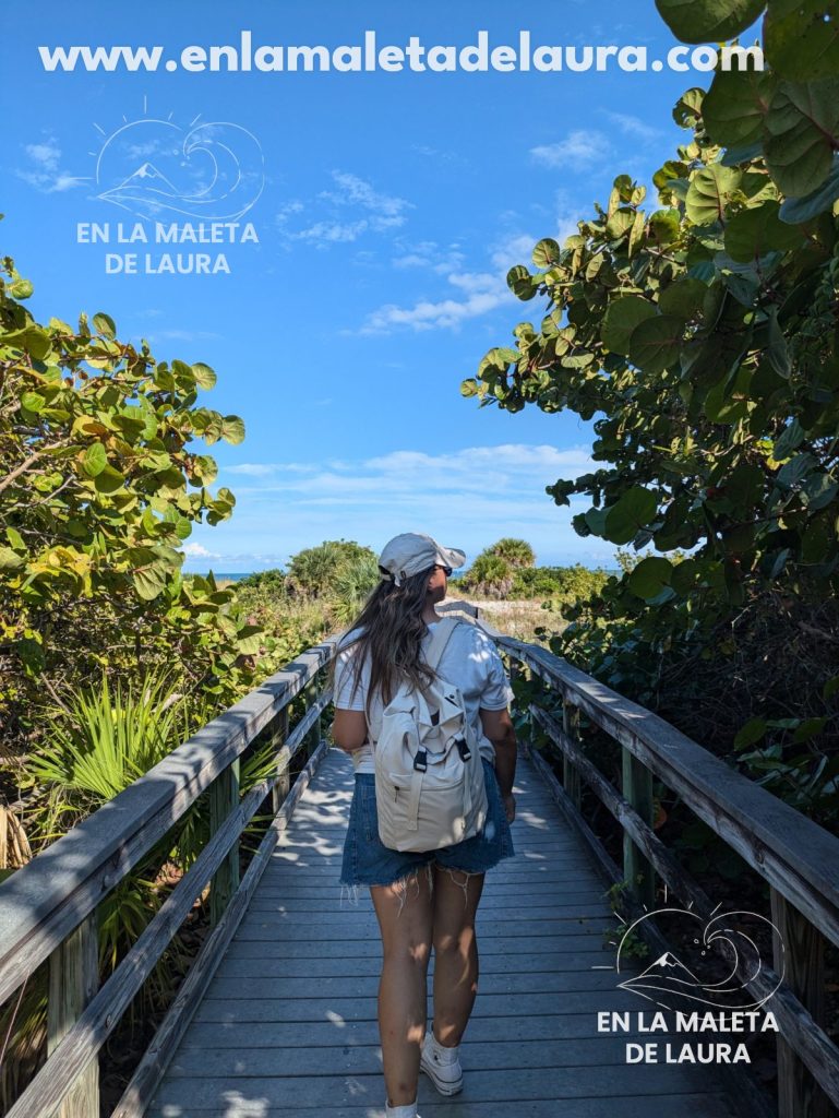 Pasarela de madera entre la vegetación hacia la playa de Key Biscayne
