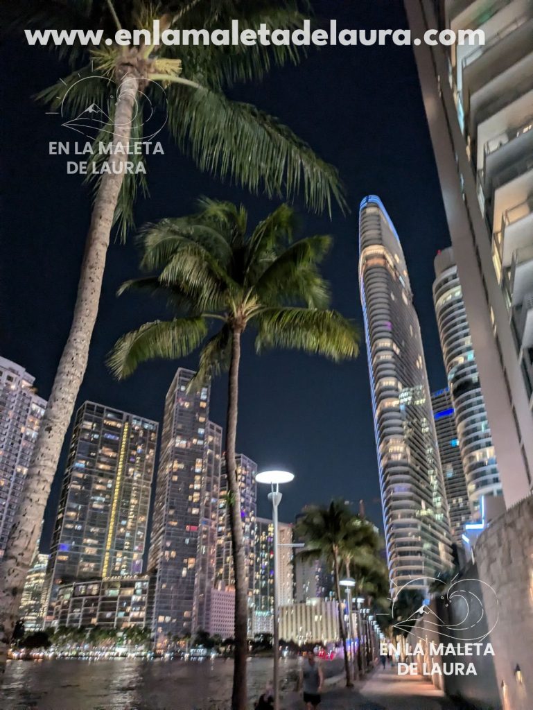 Palmeras del Miami Riverwalk con la torre Aston Martin al fondo